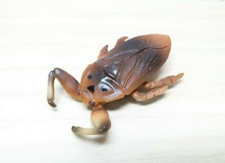 Kaiyodo Furuta Choco Egg Tagame Giant Water Bug Insect Figure