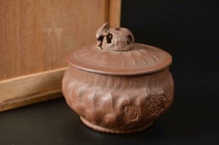 T7302: Japanese Old Banko - Ware Frog Sculpture Sencha Teacup Yunomi W/box