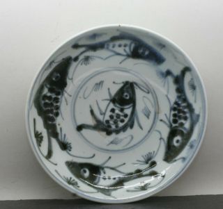 Wonderful Antique Japanese Hand Painted Blue & White Fish Motif Porcelain Plate