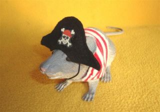 Pirate Costume For Rat From Petrats
