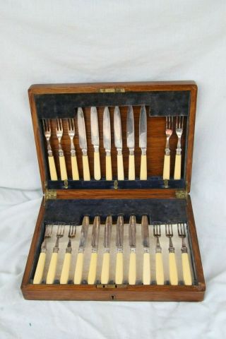 Vintage Hhepns Bakelite/silverplate 23 Pc.  Knife And Fork Set In Case.