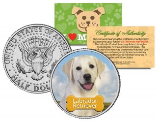 Labrador Retriever Dog Jfk Kennedy Half Dollar Colorized Coin - Limited Edition
