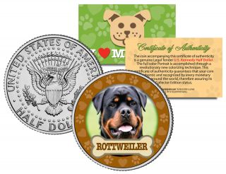 Rottweiler Dog Jfk Kennedy Half Dollar Us Colorized Coin