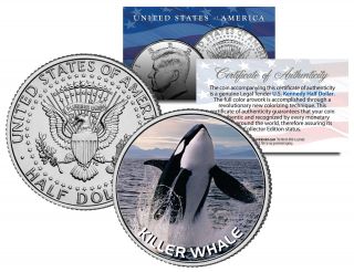 Killer Whale Jfk Kennedy Half Dollar U.  S.  Colorized Coin