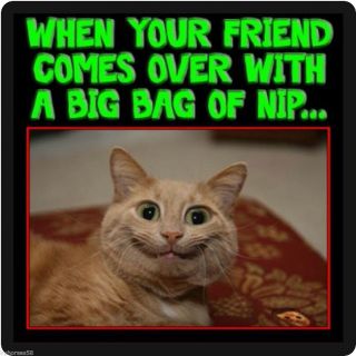 Funny Cat Humor Big Bag Of Nip Refrigerator Magnet