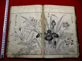 1 - 5 Japanese Noyama Flower Guide Woodblock Print Book