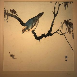 Antique Japanese Woodblock Print Okuhara Seiko Bird On A Branch