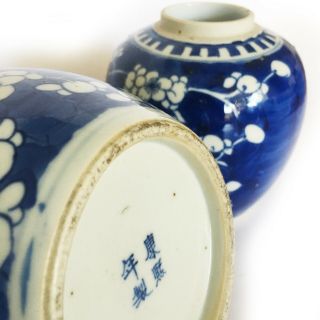 A Antique Chinese Blue & White Prunus Jars 4 Character Qing Dynasty Kang