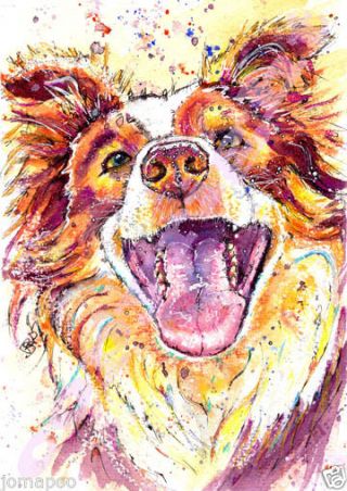 Border Collie Print From Watercolour Dog Pup Painting Art By Josie P