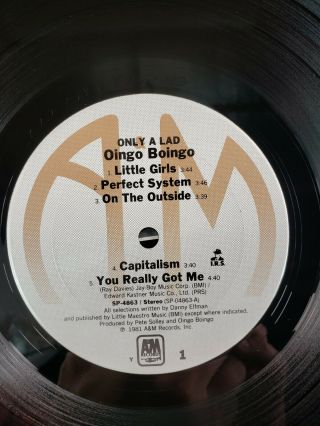 OINGO BOINGO Only A Lad 1981 Vinyl Album Record LP 2 2