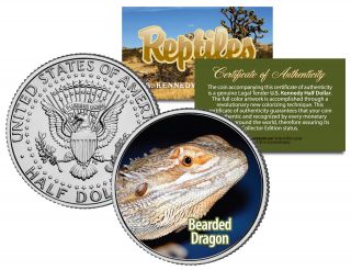 Bearded Dragon Collectible Reptiles Jfk Half Dollar U.  S.  Coin Pogona Lizard
