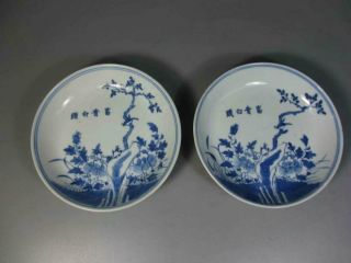 A Pair Antique Chinese Porcelain Blue And White Figure Pattern Plate