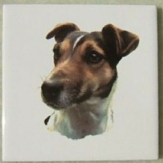 Ceramic Tile Jack Russell Terrier Dog 3