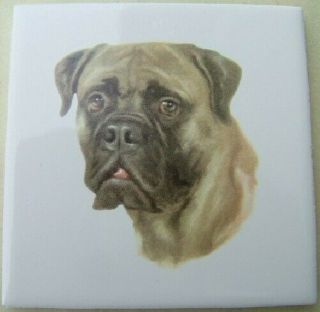 Ceramic Tile Bull Mastiff Dog 1 Mastif