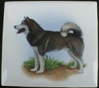 Ceramic Tile Alaskan Husky 2 Dog