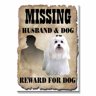 Maltese Husband Missing Reward Fridge Magnet Dog Funny