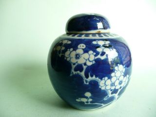 19th Century Chinese Porcelain Prunus Vase & Cover. .  Ref.  1851