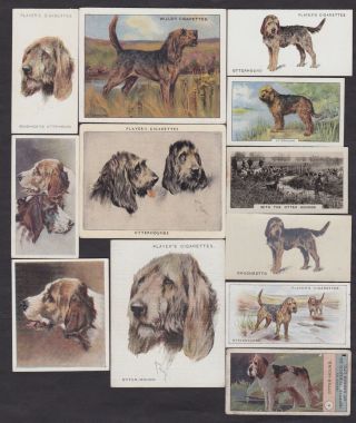 12 Different Vintage Otterhound Tobacco/candy/tea/promo Dog Cards