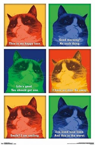 Grumpy Cat Color Quotes 22x34 Poster I Am Smiling Happy Face New/rolled