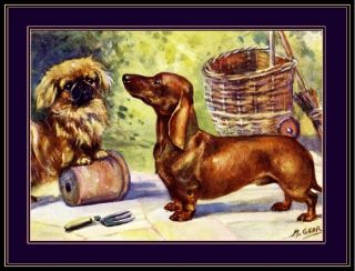English Picture Print Pekingese Dachshund Puppy Dog Dogs Puppies Poster Art