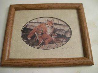 Wildlife Photo " Mother Fox And Her Kits " By Steve Leonardi - Framed