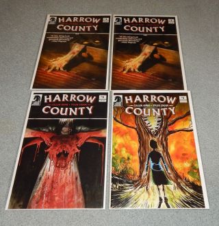 Harrow County 1 (2 Copies 1st Print),  Four Color Variant & 2nd Print Nm,  /m