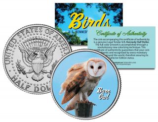 Barn Owl Collectible Birds Jfk Kennedy Half Dollar Colorized U.  S.  Coin