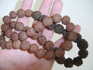 Unusual Old Antique Chinese Cavred Large Nut Bead Necklace