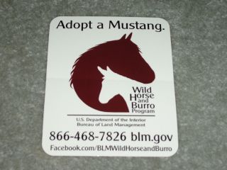 Burro Wild Horse Decal Sticker Blm Mustang Equine Car Trailer Sign