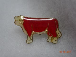 Red Cow Lapel Pin Collector Pin For A Cattle Farmer Small Pin