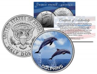 Dolphins Jfk Kennedy Half Dollar U.  S.  Colorized Coin