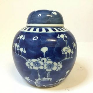Antique Late 19th Century Chinese Porcelain Prunus Ginger Jar,  Blue Circle Marks
