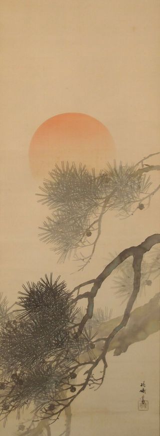 1715 Japanese Hanging Scroll: Pine Tree And Rising Sun