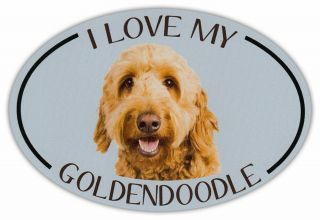 I Love My Goldendoodle Car Magnet For Cars Trucks Refrigerators Gifts Etc