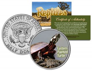 Eastern Painted Turtle Collectible Reptiles Jfk Half Dollar Us Colorized Coin