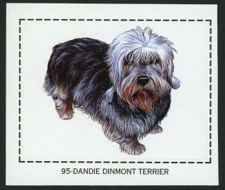 Rare Dandie Dinmont Terrier Dog Sticker Card Spain 1998