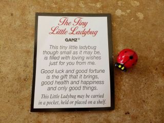 Ganz Tiny Little Ladybug Pocket Charm Token & Card Good Luck & Happiness
