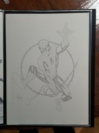 Art 9x12 Mike Mckone Spider - Man Pin - Up