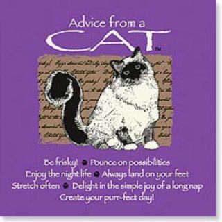 Leanin Tree " Advice From A Cat " Magnet 26342 Be Frisky Create Your Purrfect Day