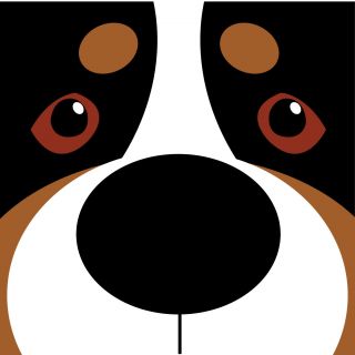 Swissy Face Decal.  Perfect For Swissy,  Berner,  Entle And Appenzeller Owners