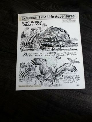 George Wheeler Disney Daily Comic Strip Art 1967 True Life Adventures