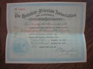 The Holstein - Friesian Association Of America Certificate Of Registry & Transfer