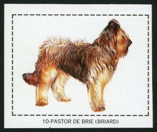 Rare Briard Berger De Brie Dog Sticker Card Spain 1998