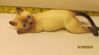 Vintage Ceramic Crawling Siamese Cat Wall Hanging Made In Japan 10 " Long