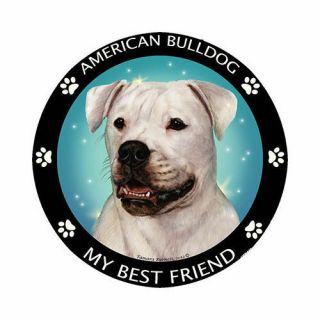 My American Bulldog Is My Best Friend Dog Car Magnet