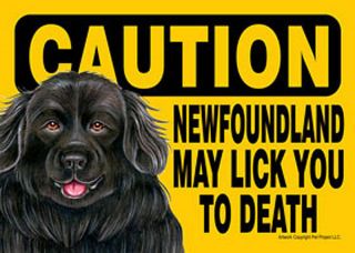 Newfoundland Caution May Lick You To Death Dog Sign Magnet Hook & Loop Fasten.