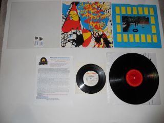 Elvis Costello Armed Forces Analog 