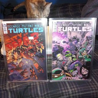 Teenage Mutant Ninja Turtles 95 Tmnt A B Cover Nm 1st Print Jennika