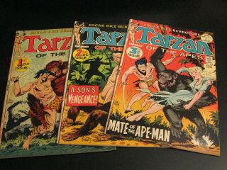 Wow Dc Tarzan—complete 207 (1) To 258 (last Issue) W/7 100 Pg 