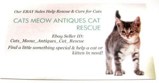 FOR SALE: CAT RESCUE PHOTO ;Help Feed Cats &Kittens Food Vet Care Supplies 2